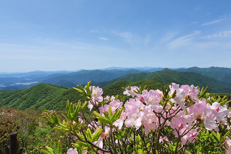 덕유산 케이블카