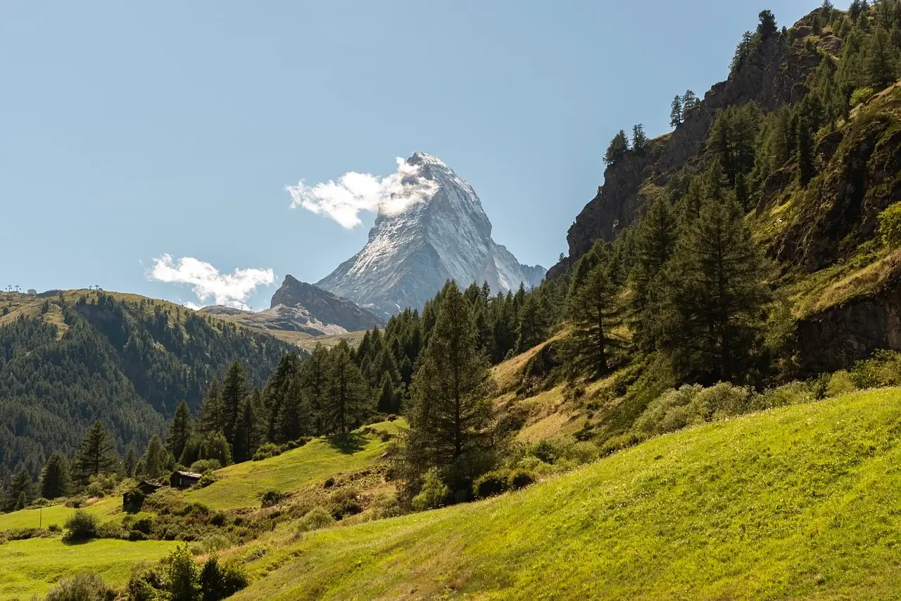 에키네시아 효능