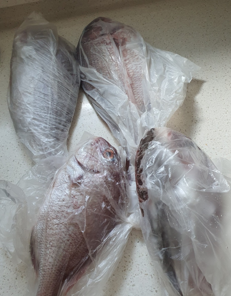 사촌-오빠가-잡은-생선입니다.