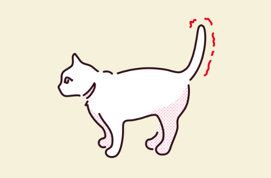 꼬리가 떨릴 때