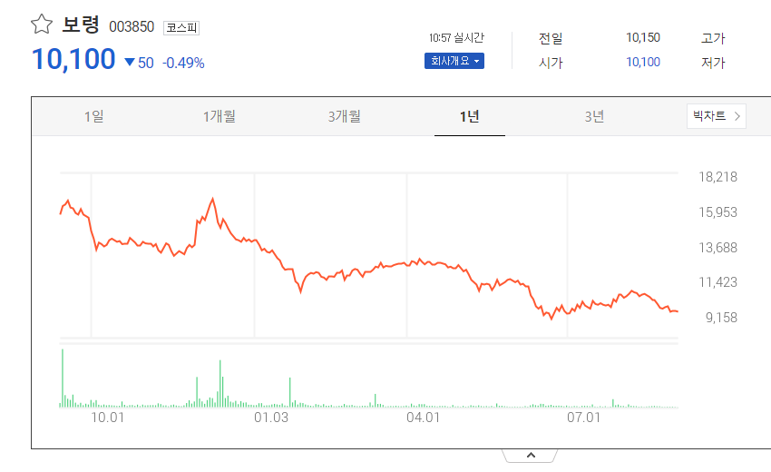 보령제약 1년 주가차트