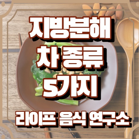 지방분해 차 종류 5가지