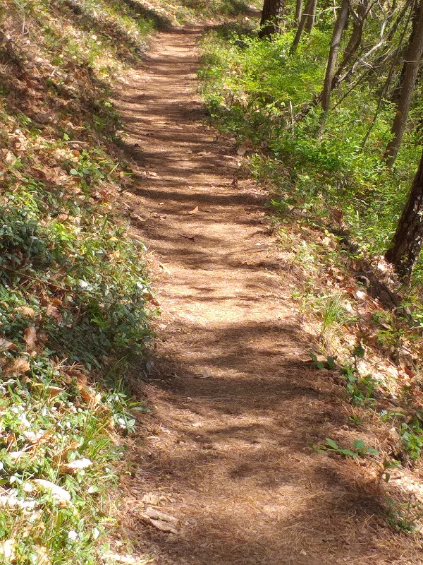 등산 칼로리