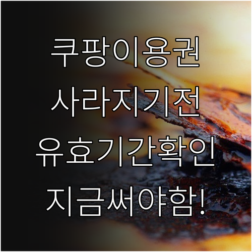 쿠팡 보상 이용권 유효기간 확인법 및..