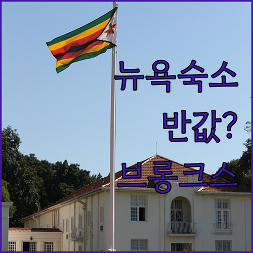 뉴욕 여행 숙소 비용 아끼는 브롱크스..