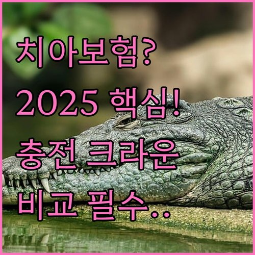 치아보험 선택 기준 2025 현대해상..
