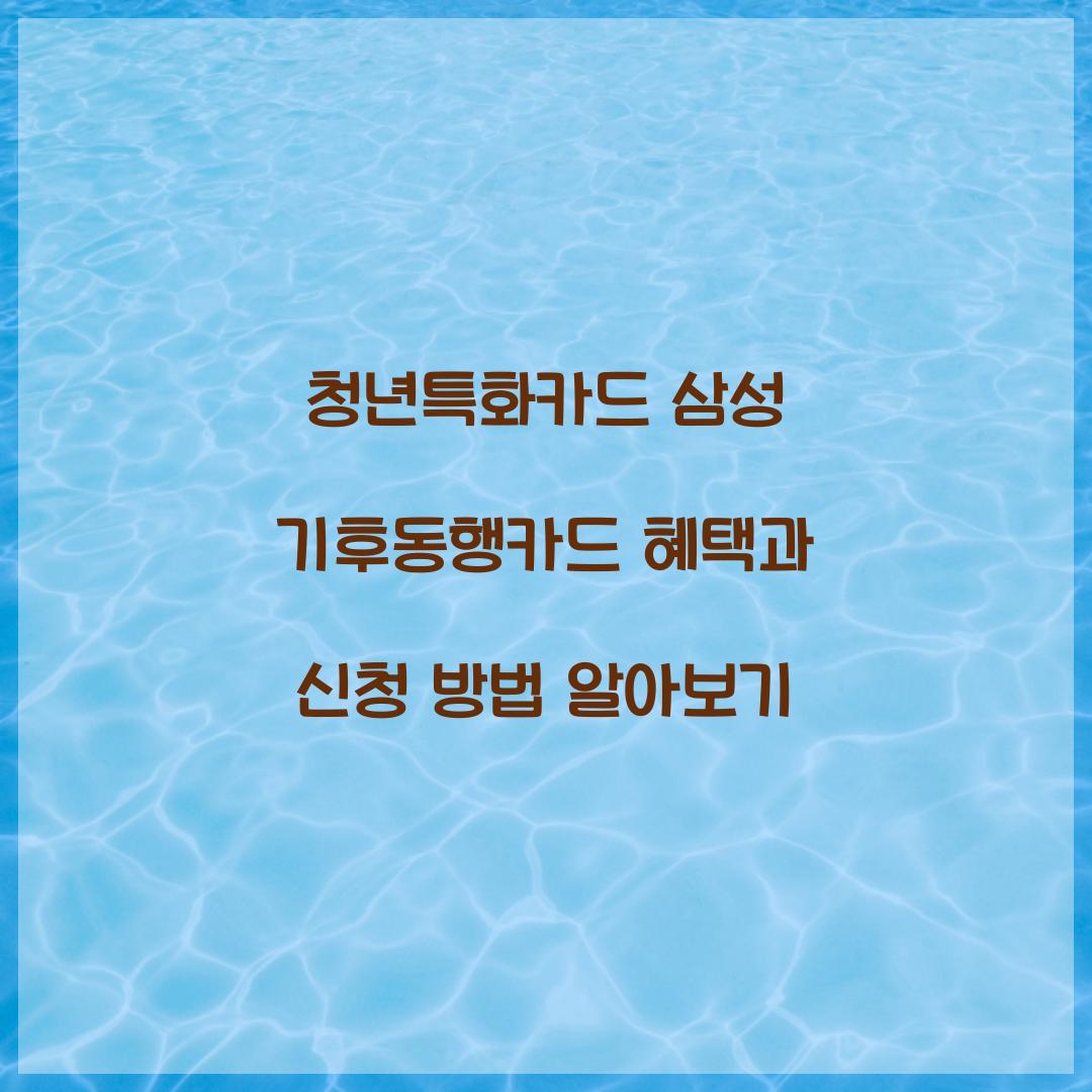 청년특화카드 삼성 기후동행카드