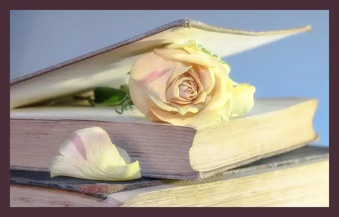 작별하지 않는다 줄거리