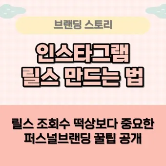릴스 뜻 릴스란 의미 유래_24