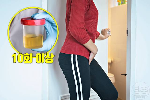 당뇨 증상 하루소변횟수 당뇨 걸리는 식습관