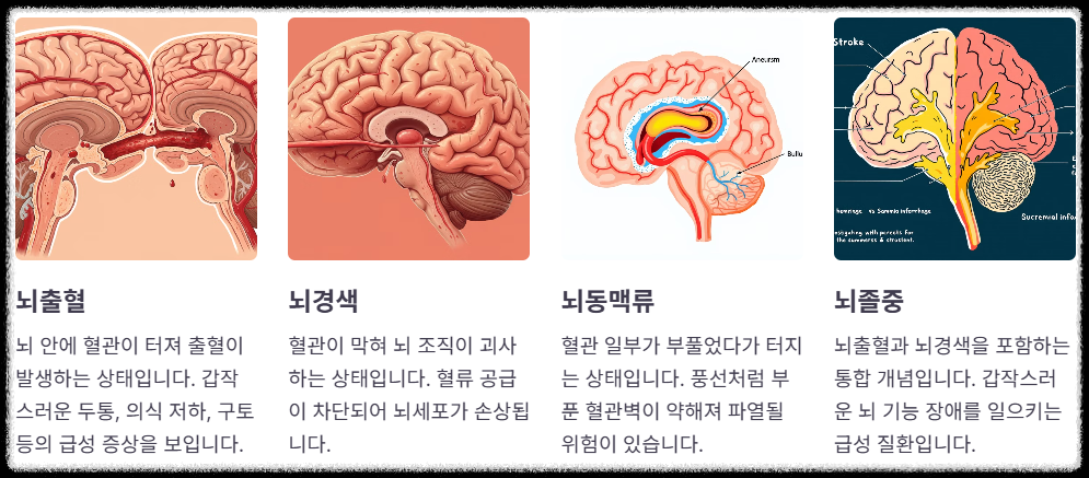 뇌혈관질환의 종류
