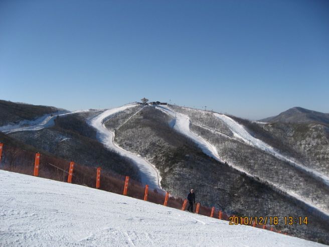 하이원리조트 스키장 개장일