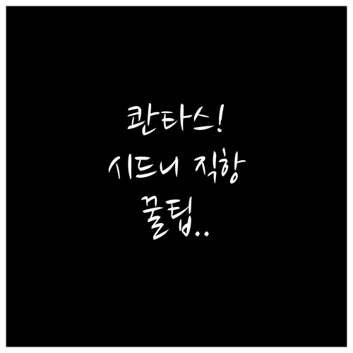 콴타스항공 인천 시드니 직항편 운항 ..