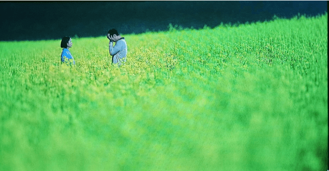 고창 학원 농장 입장료 총정리 관련사진