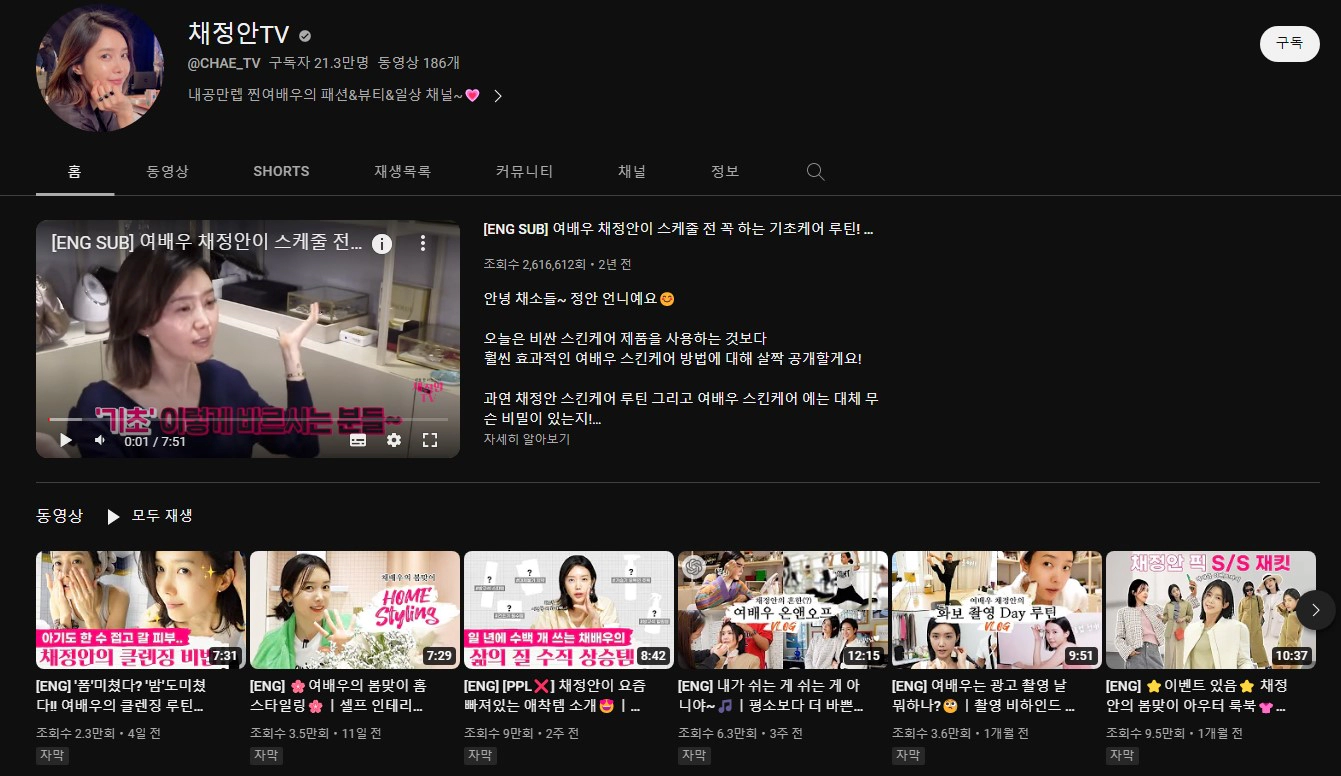 채정안 유튜브 채널