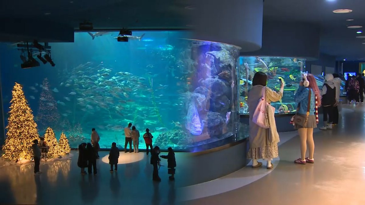 제주 겨울 여행 명소 추천, 실내 명소 BEST 총정리