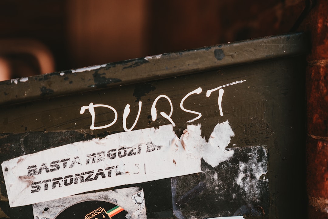 Dust Mite
