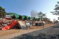 서울 근교에서 가볼만한 캠핑장 베스트 5