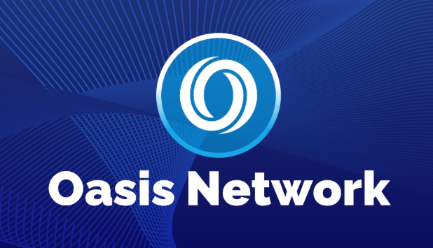 오아시스(ROSE)코인 분석&amp;#44;&amp;#39;메타&amp;#39;와 &amp;#39;바이낸스&amp;#39;가 선택한 이유 