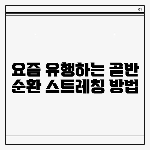 요즘 유행하는 골반 순환 스트레칭 방법