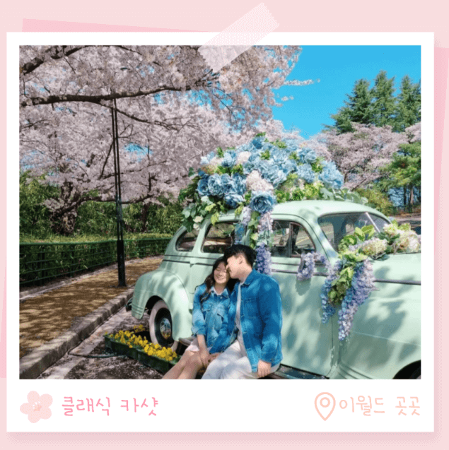 대구 이월드 벚꽃축제 블라썸 할인