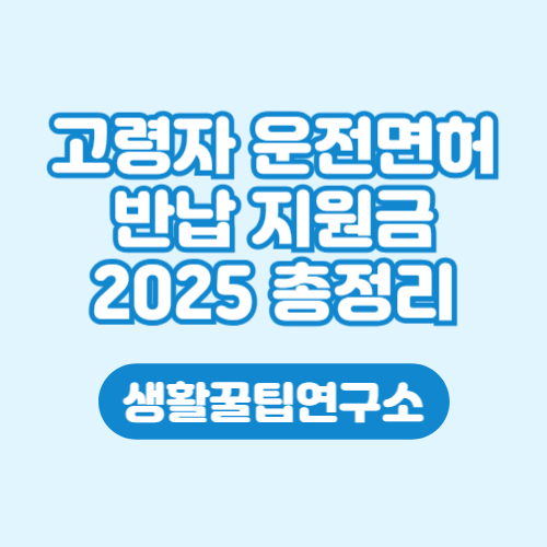 고령자 운전면허 반납 시 지원금 대상 혜택 2025 총정리