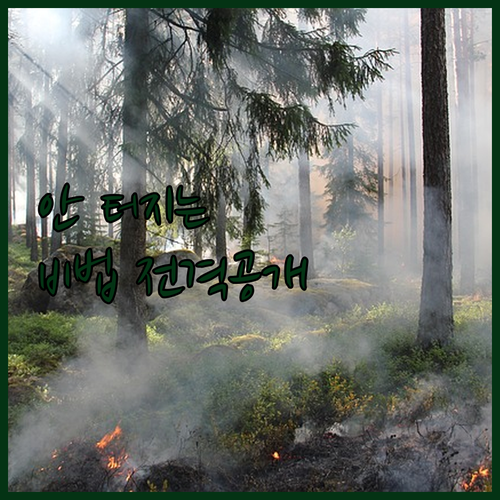 계란삶는기계 안 터지게 삶는 법과 인..