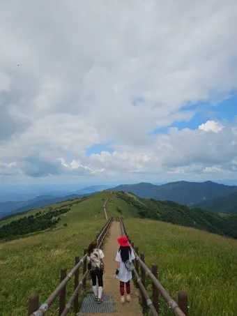 소백산 등산코스 죽령 연화봉 비로봉 어의곡 종주 완벽 가이드_14
