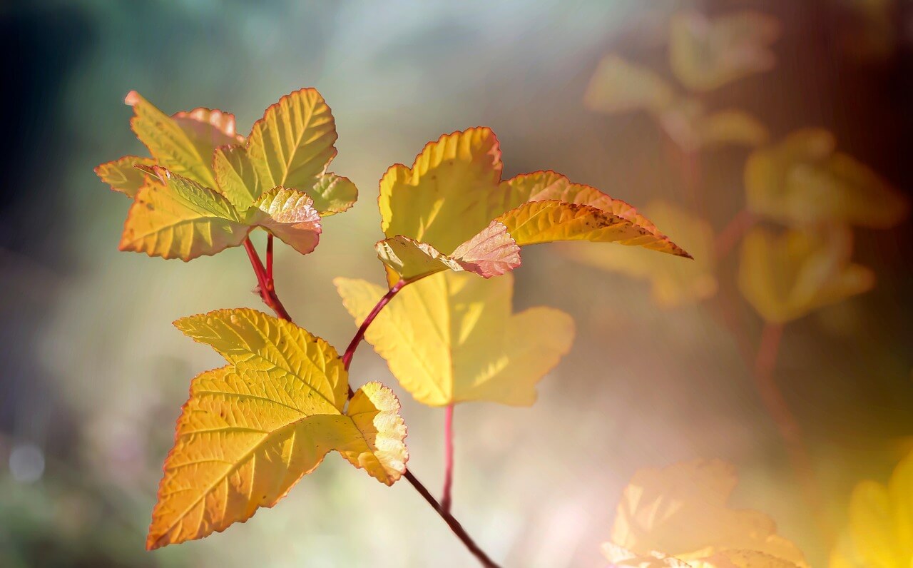 인공광합성의 다중접합 구조 응용