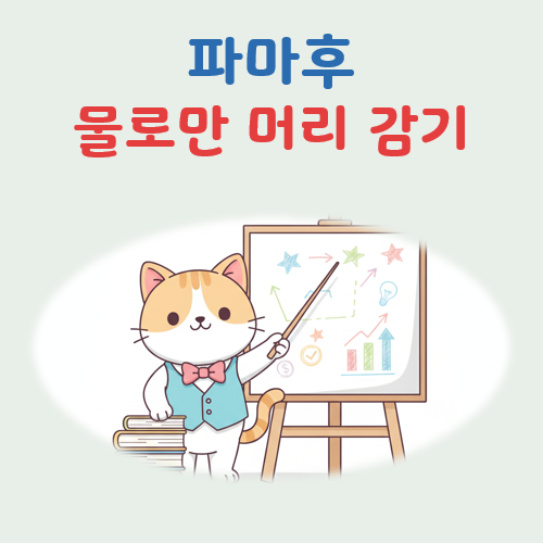 파마후 물로만 머리 감기 대표 이미지