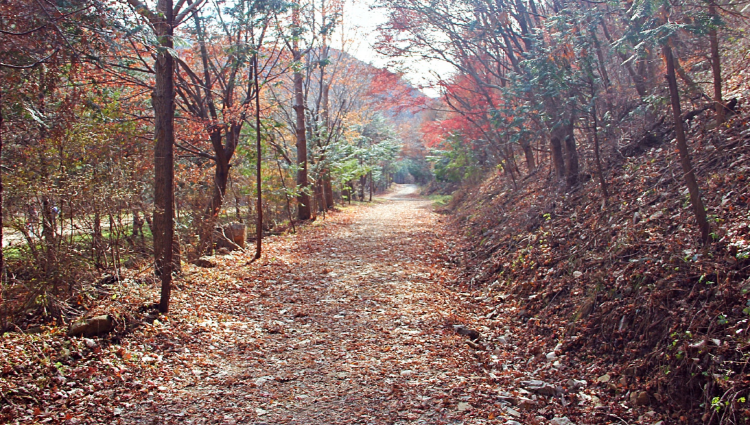 온빛자연휴양림