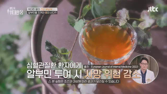 알부민의-효능