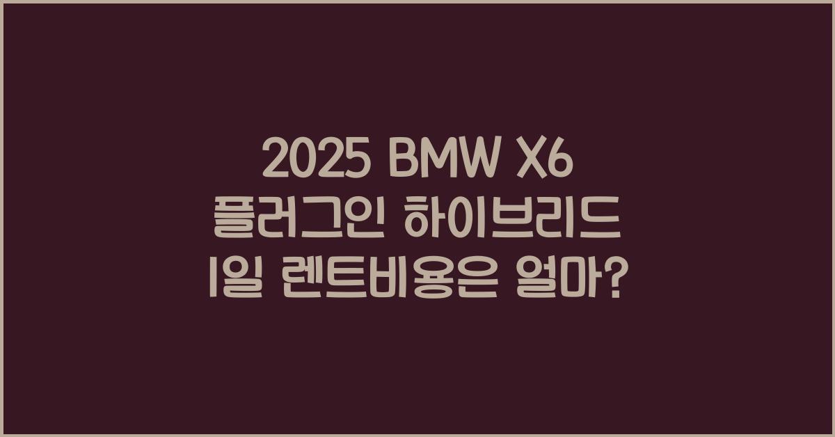 2025 BMW X6 플러그인 하이브리드 1일 렌트비용
