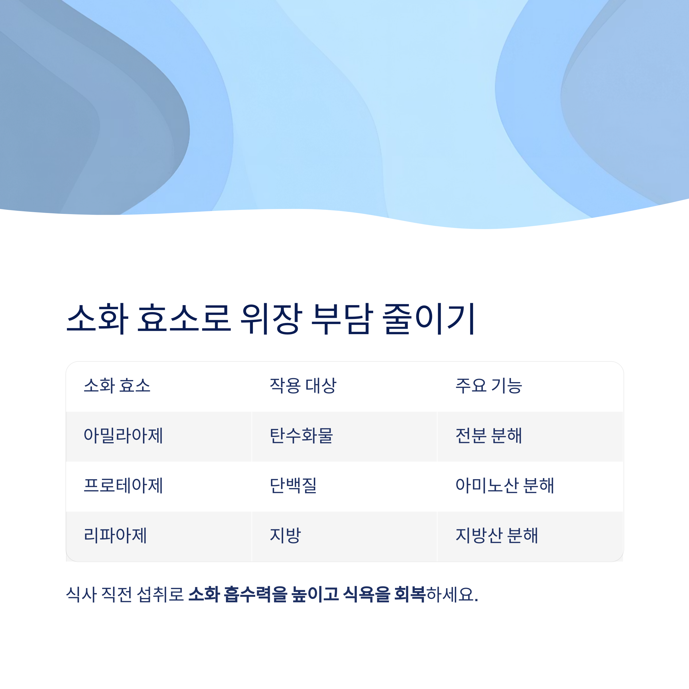 소화 효소로 위장 부담 줄이기