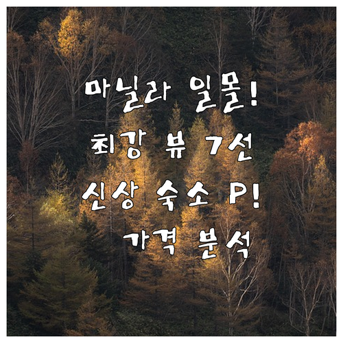 마닐라 일몰 뷰 맛집 호텔 아파트 7..
