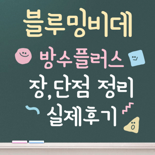 블루밍 비데 방수플러스 장,단점 정리