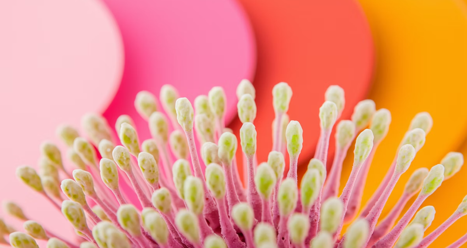 꽃가루 알레르기란?