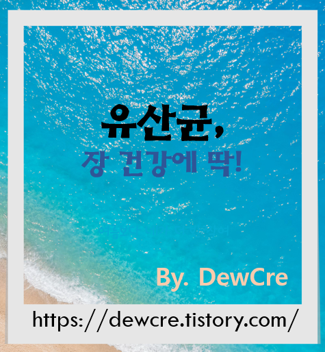 속부터 달라지는 건강! 장 건강을 위한 유산균 제대로 먹는 법