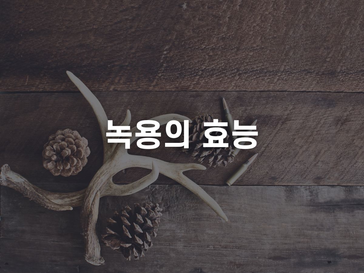 녹용의 효능