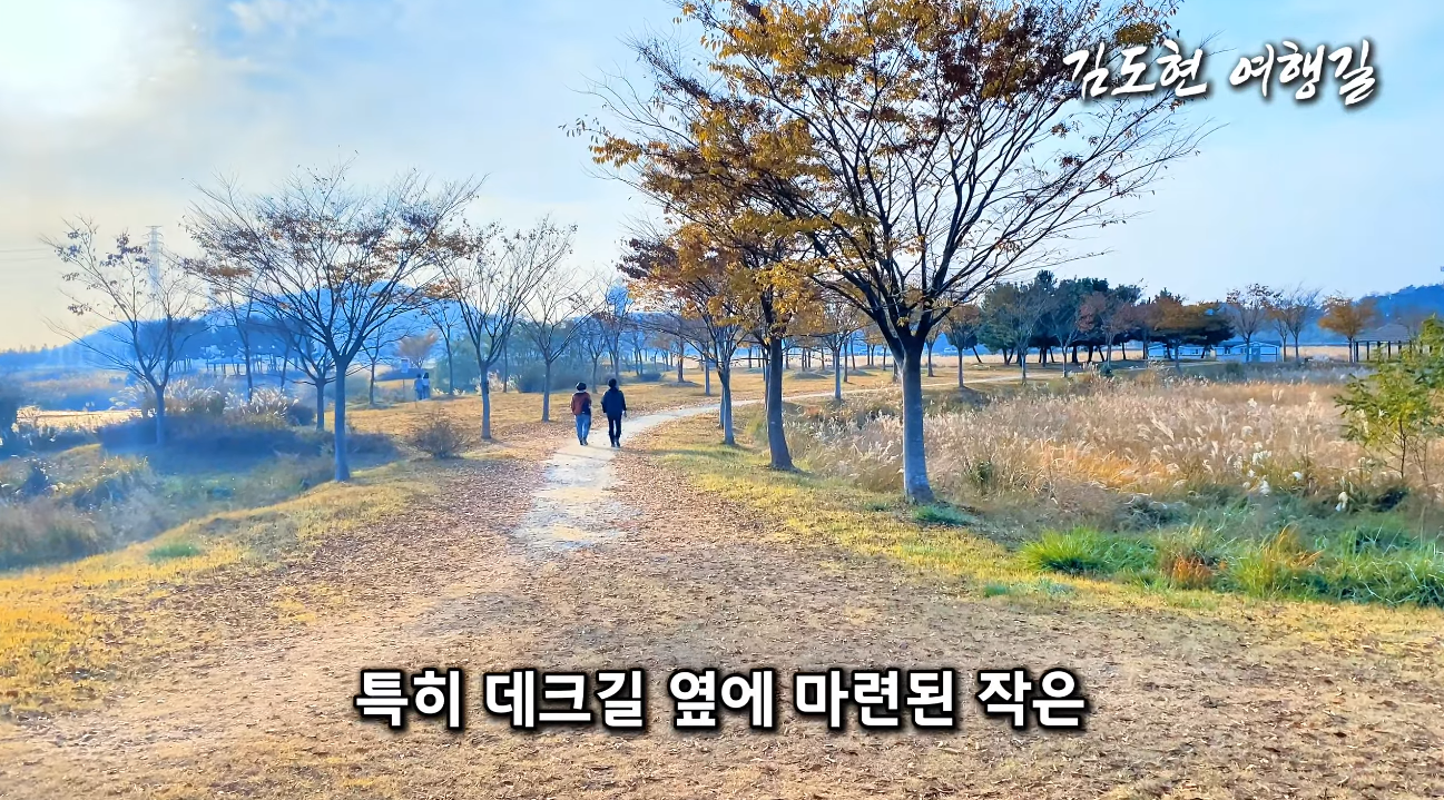 대부도에서 즐기는 가을 감성 여행: 갈대밭과 노을 속 힐링의 순간