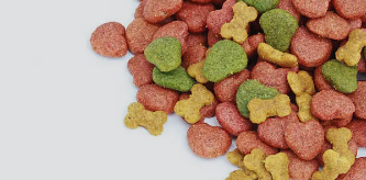 반려동물을 위한 영양제 & 건강 보조식품