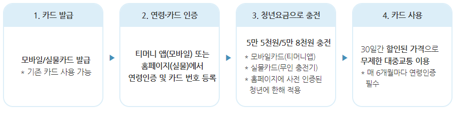 기후동행카드 청년할인