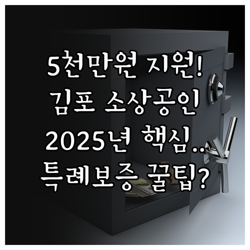 김포시 소상공인 2025 경영 안정 ..