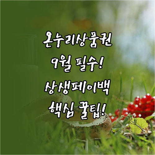 온누리상품권 9월 상생페이백, 놓치지..