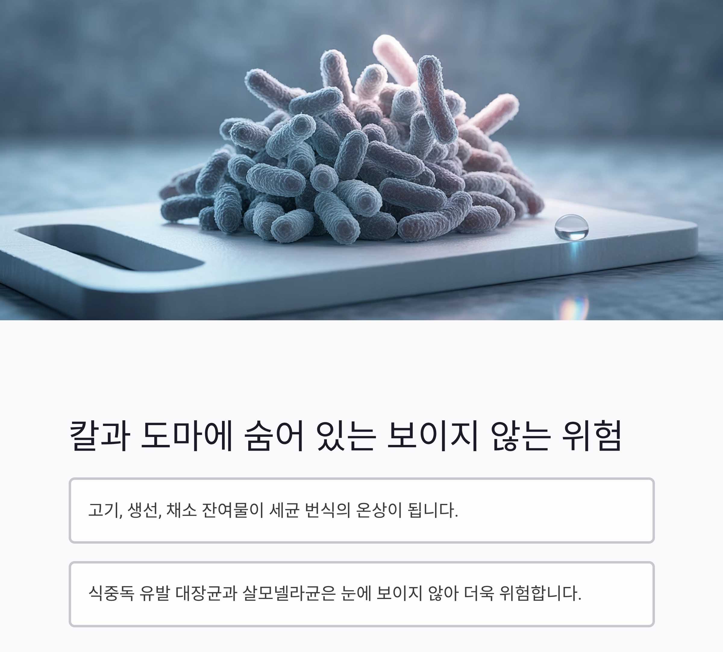 주방 위생의 첫걸음, 칼과 도마 살균의 모든 것