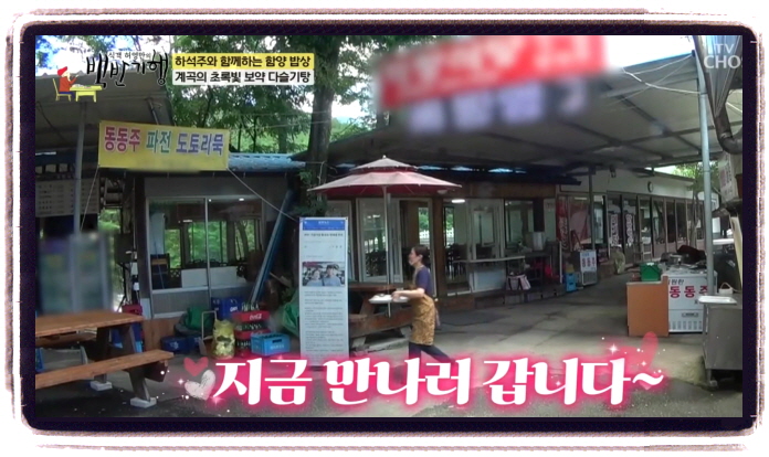 백반기행 함양 다슬기전 다슬기탕 위치