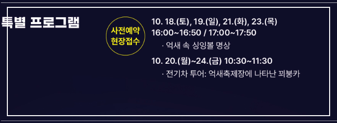 서울-억새축제-19