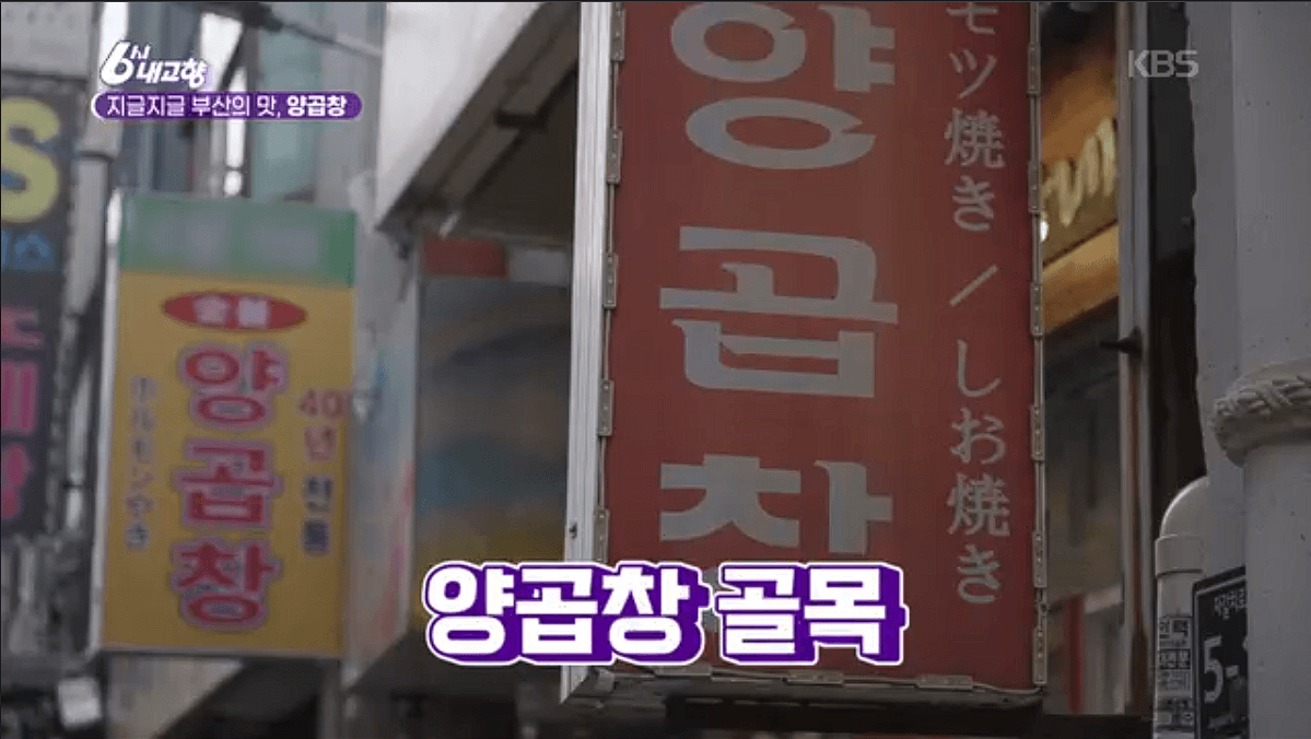 [6시내고향]부산 양곱창 &amp;#39;백화양곱창&amp;#39;&amp;#39;대정양곱창&amp;#39; 예약 위치 연락처 정보