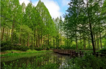 장태산 자연휴양림_7