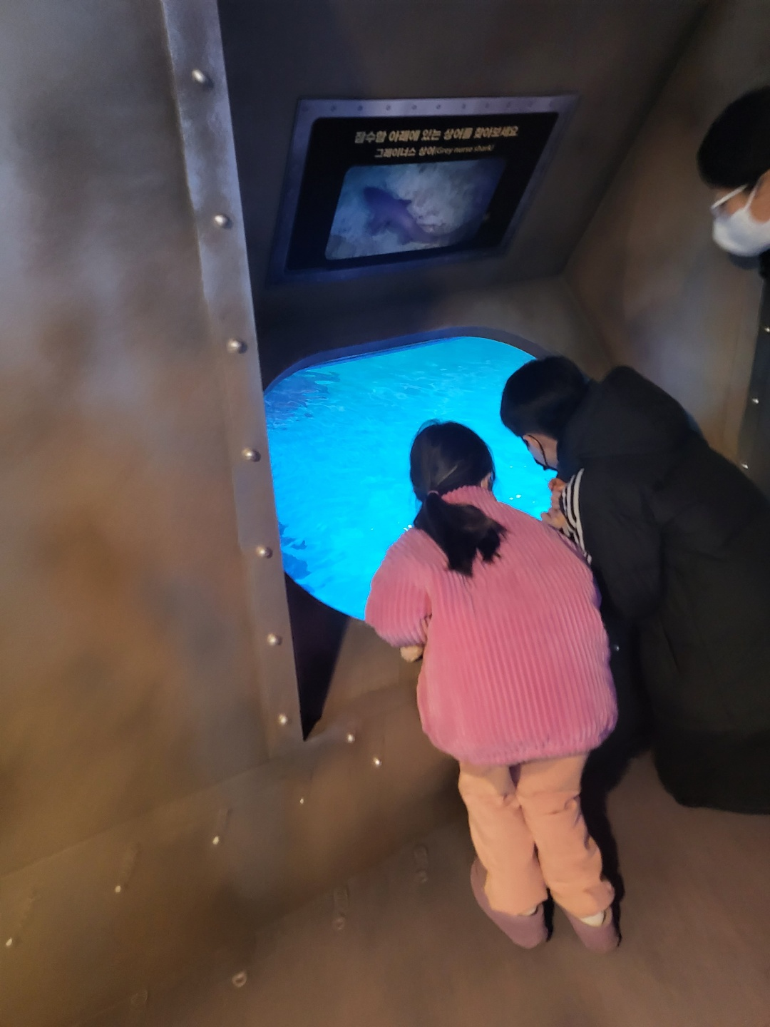 부산 아쿠아리움